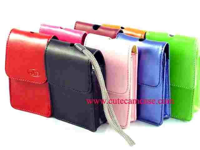 Leather Case