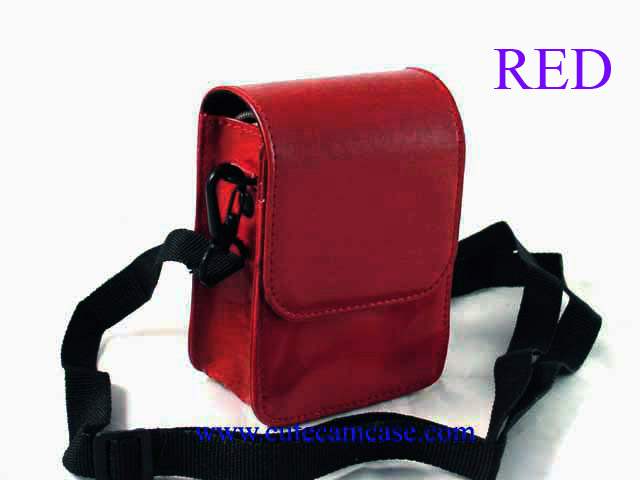 Slim Leather Case