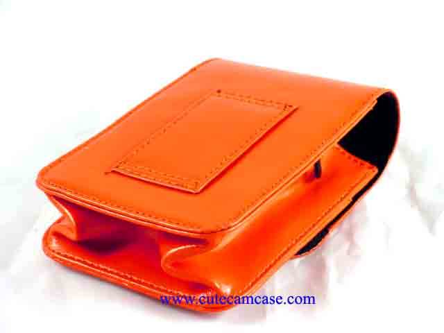 Leather Case