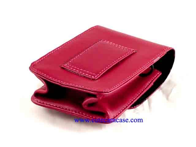 Leather Case