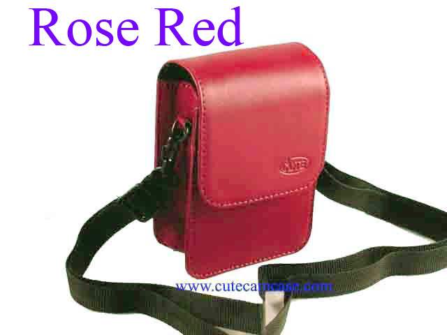 Slim Leather Case