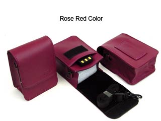 Slim Leather Case