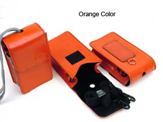 Slim Leather Case