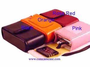 Slim Leather Case