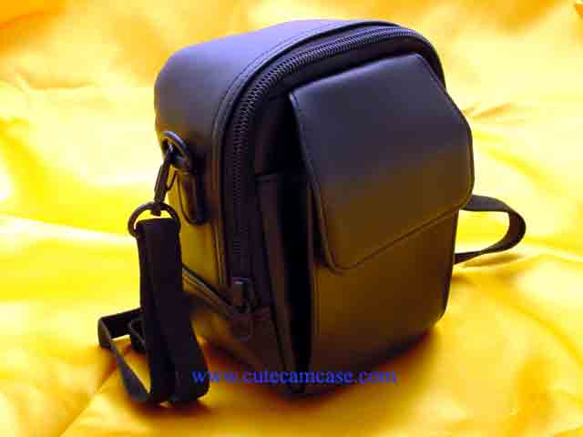 Leather Case