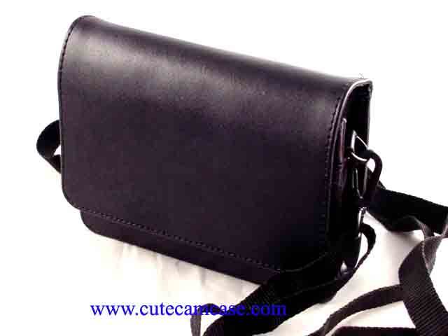 Leather Case