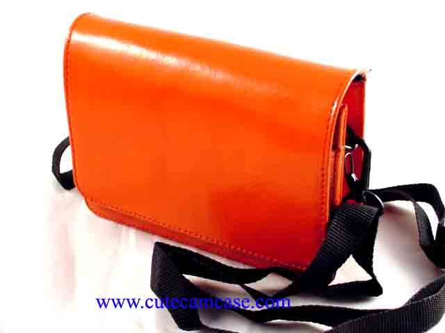 Leather Case