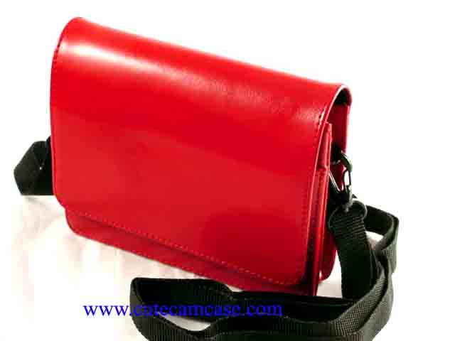 Leather Case
