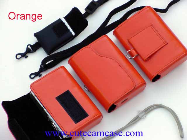 Slim Leather Case