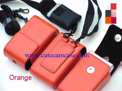 Slim Leather Case