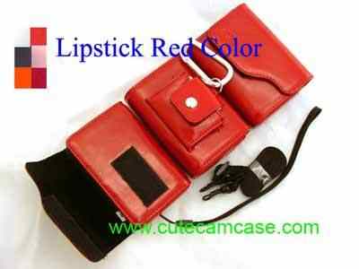 Leather Case