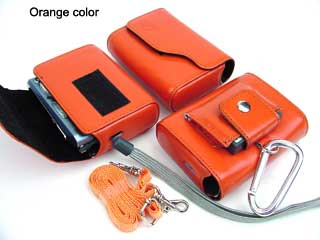 Leather Case