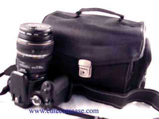 Leather Case