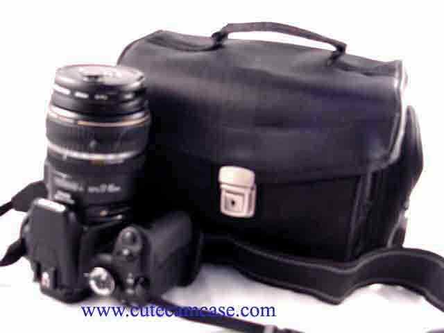 Leather Case