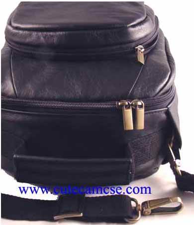 Leather Case