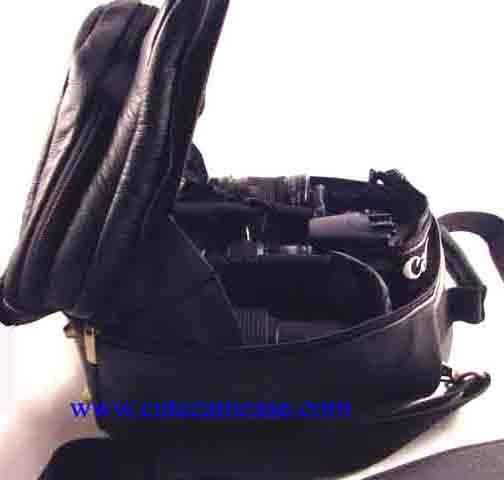 Leather Case