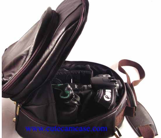 Leather Case