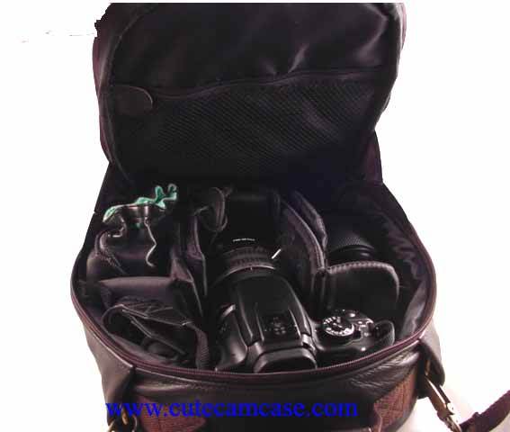 Leather Case