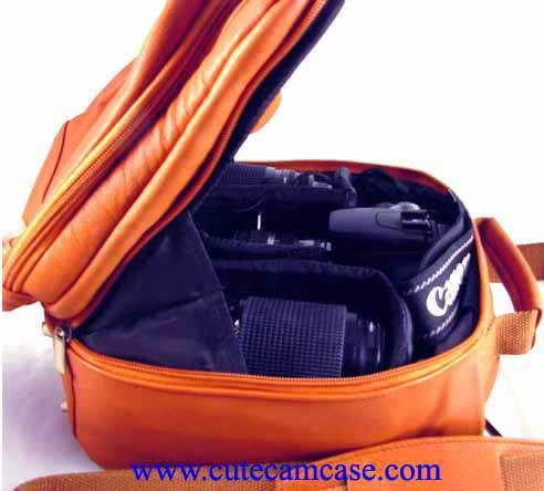 Leather Case