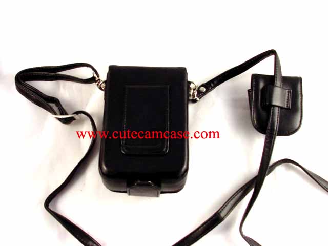 Leather Case