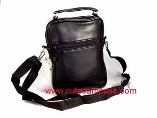 Leather Case