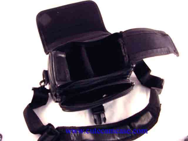 Leather Case