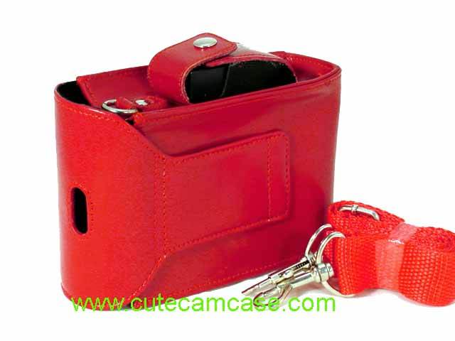 Slim Leather Case