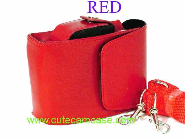 Slim Leather Case