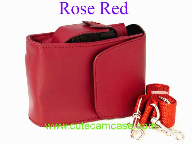 Slim Leather Case