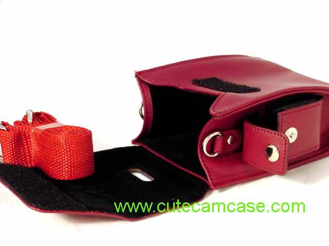 Slim Leather Case