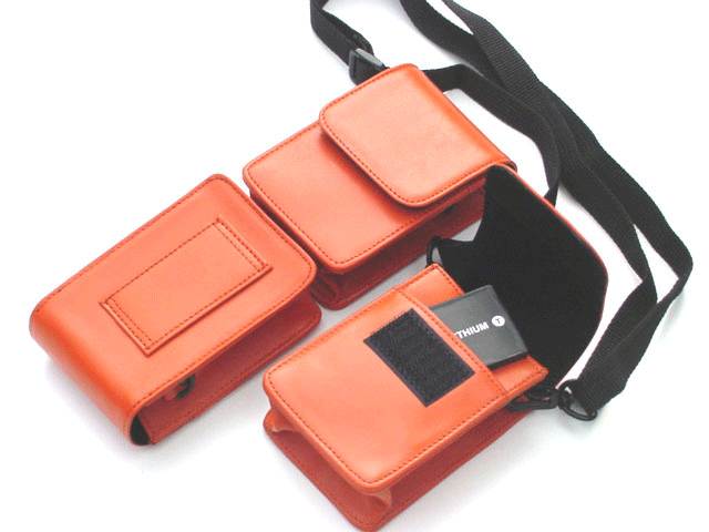 Slim Leather Case