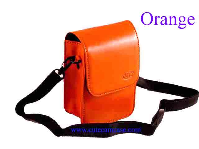 Slim Leather Case