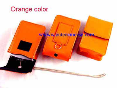 Slim Leather Case