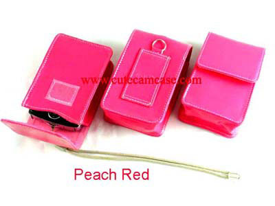 Slim Leather Case
