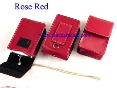 Slim Leather Case