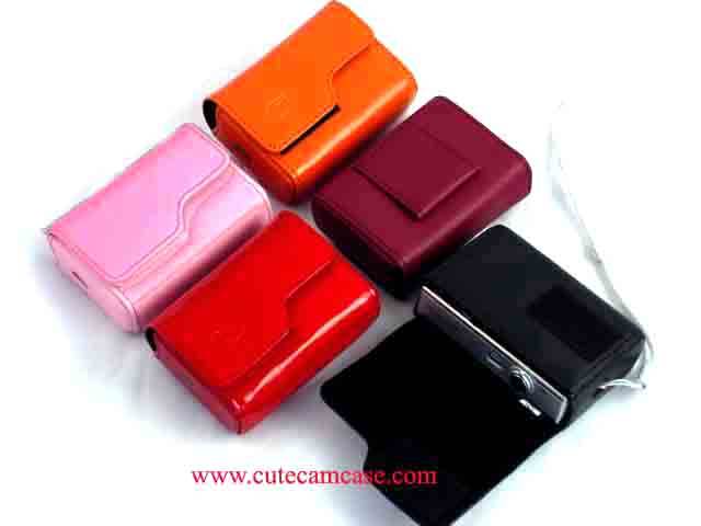 Leather Case