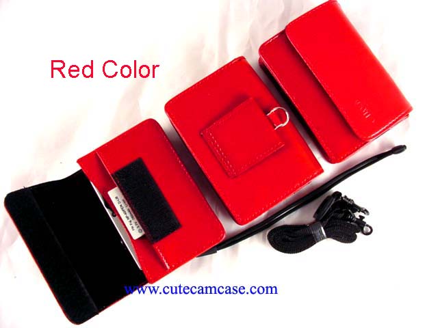 Leather Case