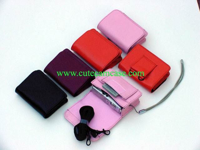 Slim Leather Carrying Case with Battery Pocket and Shoulder Strap