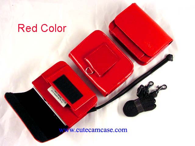 Leather Case