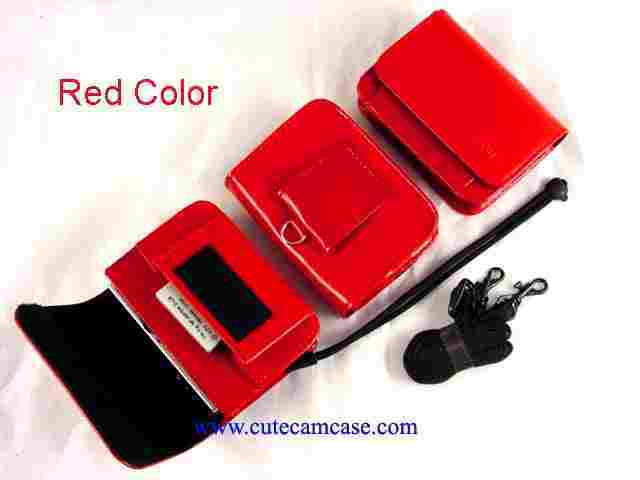Slim Leather Carrying Case with Battery Pocket and Shoulder Strap