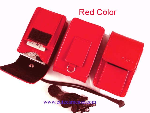 Leather Case