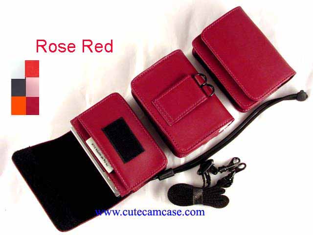 Leather Case