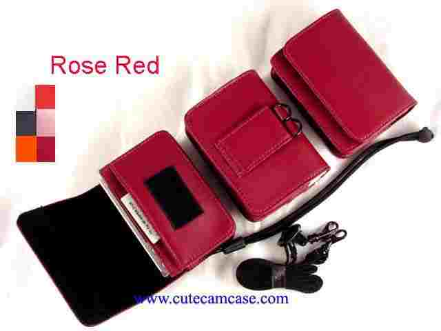 Slim Leather Case