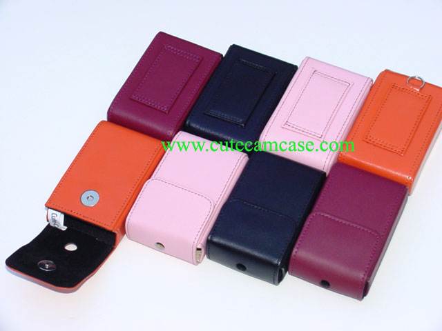 Slim Leather Case