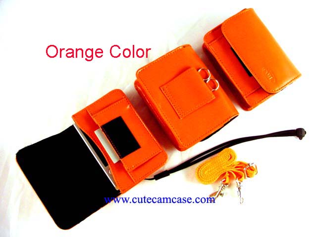 Leather Case