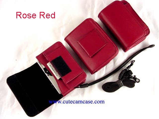 Leather Case