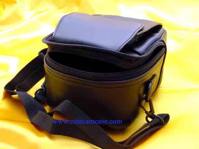 Leather Case