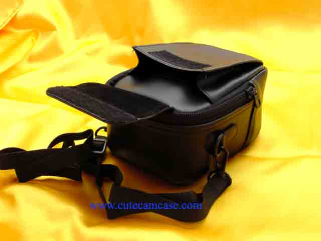 Leather Case