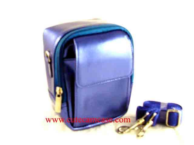 Leather Case