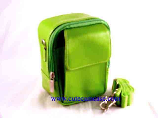 Leather Case